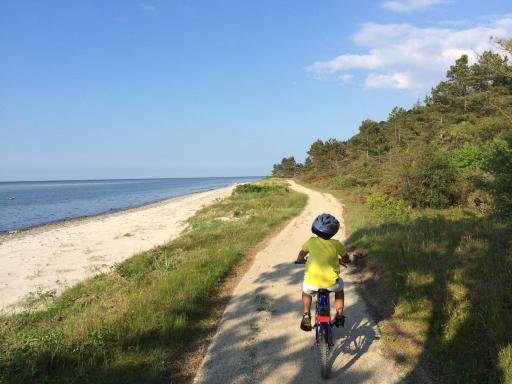 Bønnerup Strand - Housity