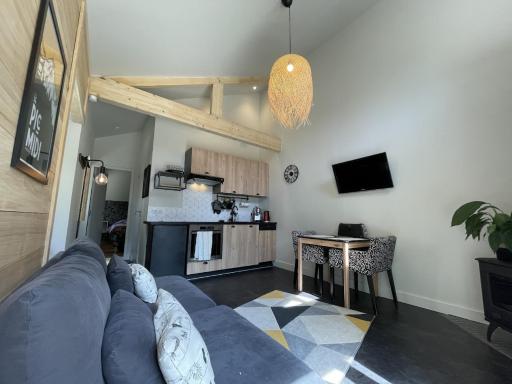 Ginkobiloba : Appartement cosy en cœur de ville - Housity