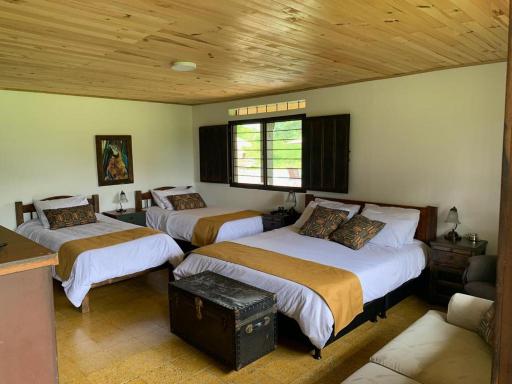 Alojamiento Rural Finca la Morena (Ecoturismo) - Housity