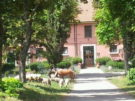 Country House Villa delle Rose Agriturismo - Housity