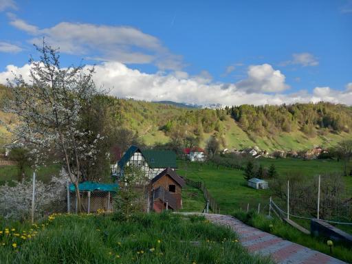 Pensiunea Brian - Housity