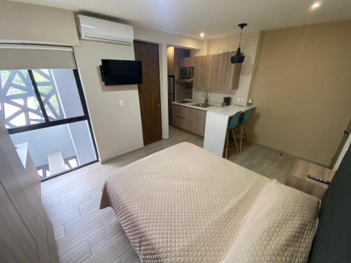 Departamento San Nicolas Zona UANL - Housity