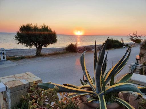 ILIOPOULOS Apartments - Housity
