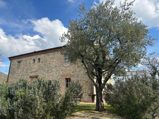 Borgo Cardaneto - Housity