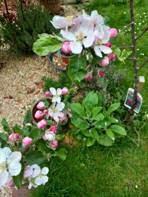 Escape to the Country in wonderful Worcestershire - Housity