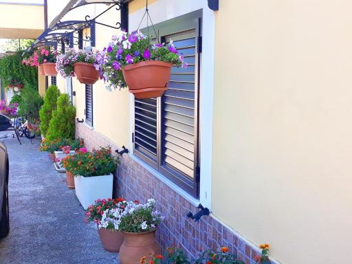Charming House in Canosa Sannita - Housity