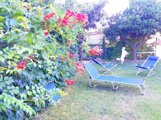 Modern apartment with mountain view 80 m² Canosa Sannita - Housity