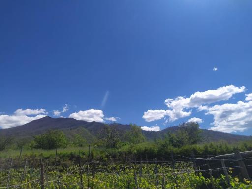L'orto del Vesuvio di Laura Guidone - Housity