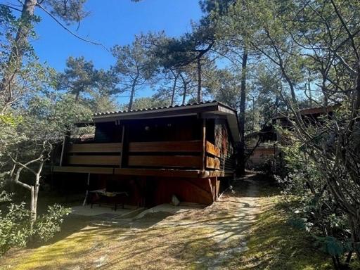 Chalet Carcans-Maubuisson, 2 pièces, 6 personnes - FR-1-648-115 - Housity