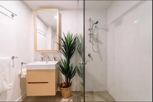 Modern Compact Studio Separate Bathroom - Housity