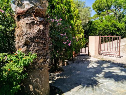 Villa Sara - Housity