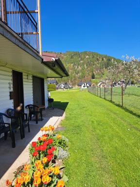 U OLIWII - Housity