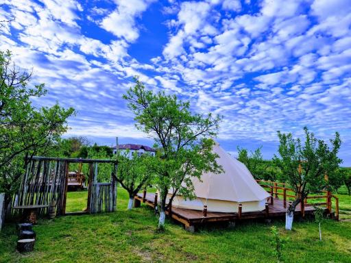 Glamping Livada cu lavanda - Housity