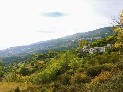 Casa Carmela, rural house with spectacular views, in an exquisite area - Housity