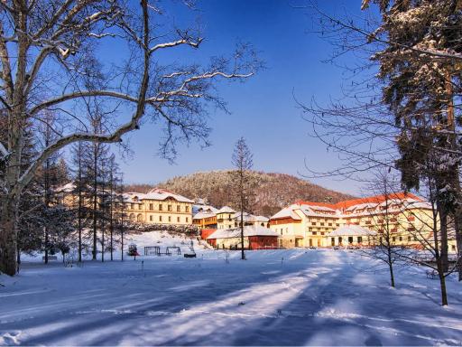 Erzsébet Park Hotel - Housity