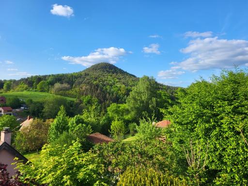 Ferienwohnung Mäuerle bis 8 Erw. Pfälzer Wald, Südwestpfalz - Housity