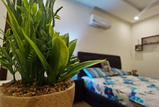 Designer 2Bed room luxury Flat near to isb airport - Housity