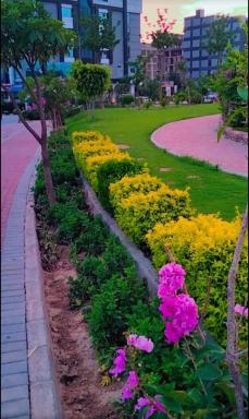 Fasil-Town Rooms Near Isb Air port - Housity