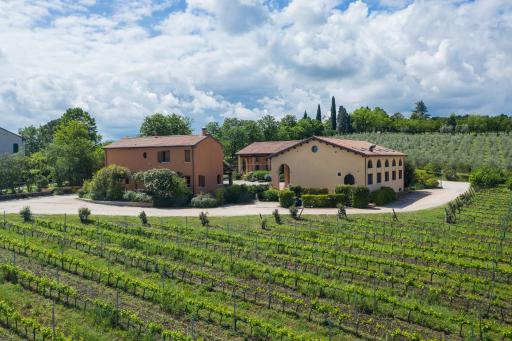 Collina dei Poeti - Housity