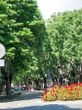 Appartamento incantevole completo con parcheggio - Housity