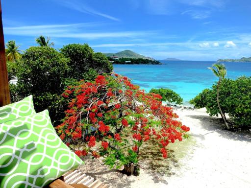 Luxury Beachfront Duplex Villa on Sapphire Beach I - Housity