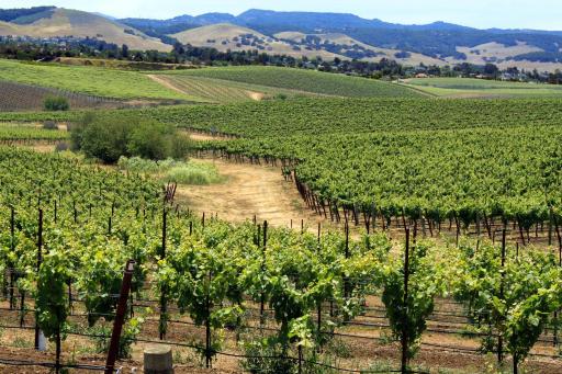 Inn at San Luis Obispo - Housity