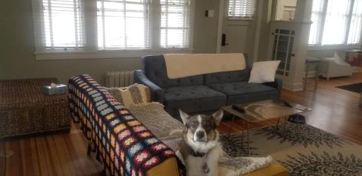 420 Friendly Charming 3 Bedroom, Walk To Downtown - Housity