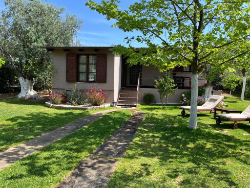 Les Olives Woodhouse - Housity