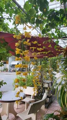 Homestay HP Rạch Giá - Housity