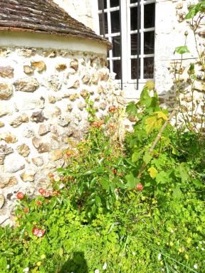 Maisonnette indépendante au bord du loir - Housity