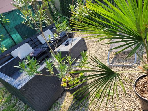 Apartman La Martina - Housity