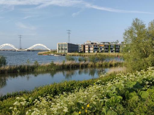 B&B House of Straw Amsterdam - Housity
