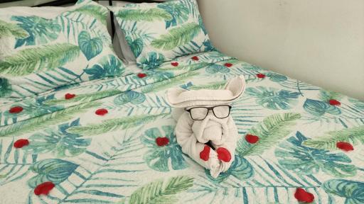 Caribbean Dream CD5 - Housity