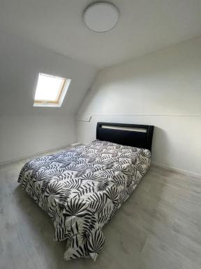 Chicorée - Housity