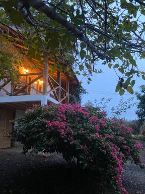 SÍTIO BELINHA - Housity