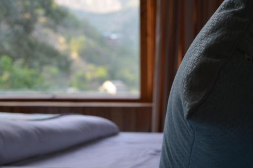Tirthan Valley - House of Sharon - Housity