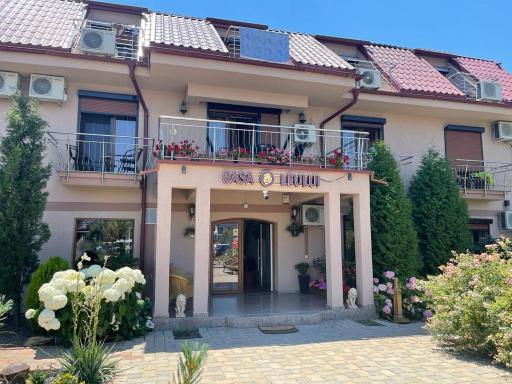 Ametist Casa Leului - Housity