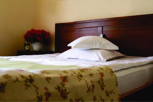 Vila Toparceanu - Therme & Airport Otopeni - Housity