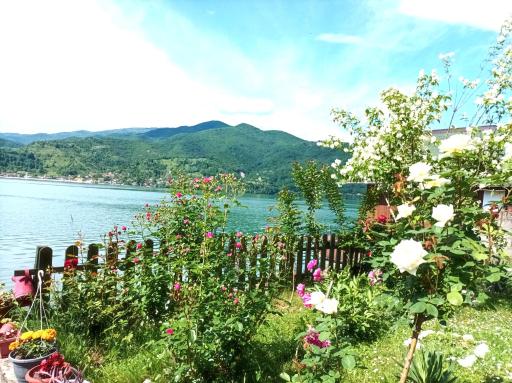 Dina apartman Jablaničko jezero - Housity