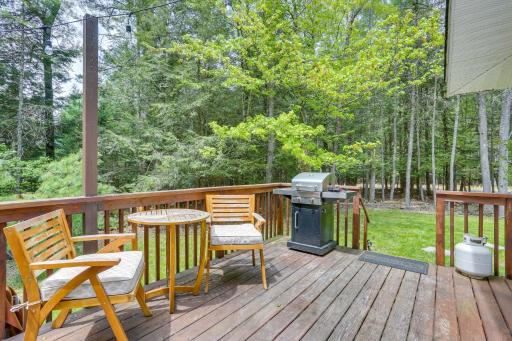Cozy Swan Lake Apt with Grill and Private Yard - Housity