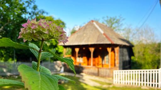 Green bunny guesthouse - Housity