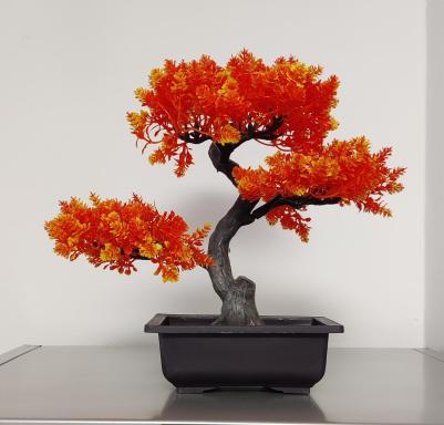 La casa Ciarlasca - Housity