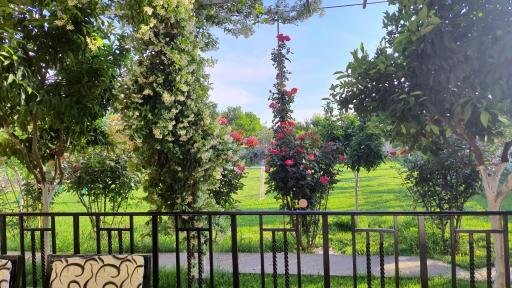 Room with private garden - Housity