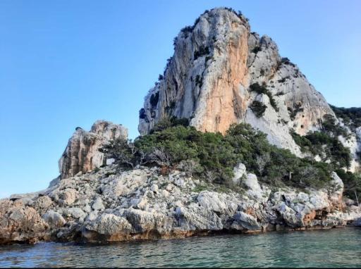 appartamento Oleandro - Housity