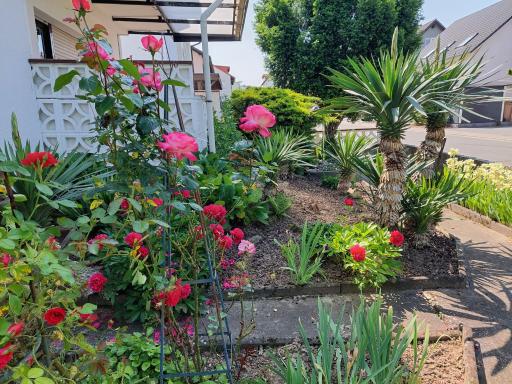 urige gemütliche Ferienwohnung 64 m2 in Dielheim, Nähe Heidelberg - Housity