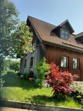 Dorothea Zimmer - Housity