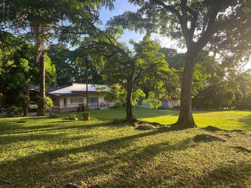 Almita mía - Housity