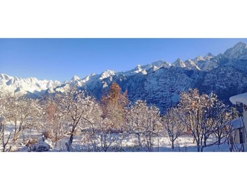 Hotel Mud House Auli, Joshimath, - Housity