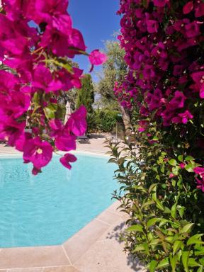 Hôtel La Villa Cap d’Antibes - Housity