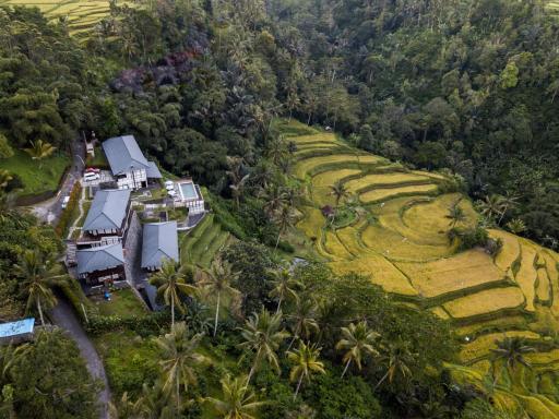 Suarapura Resort & Spa - Housity